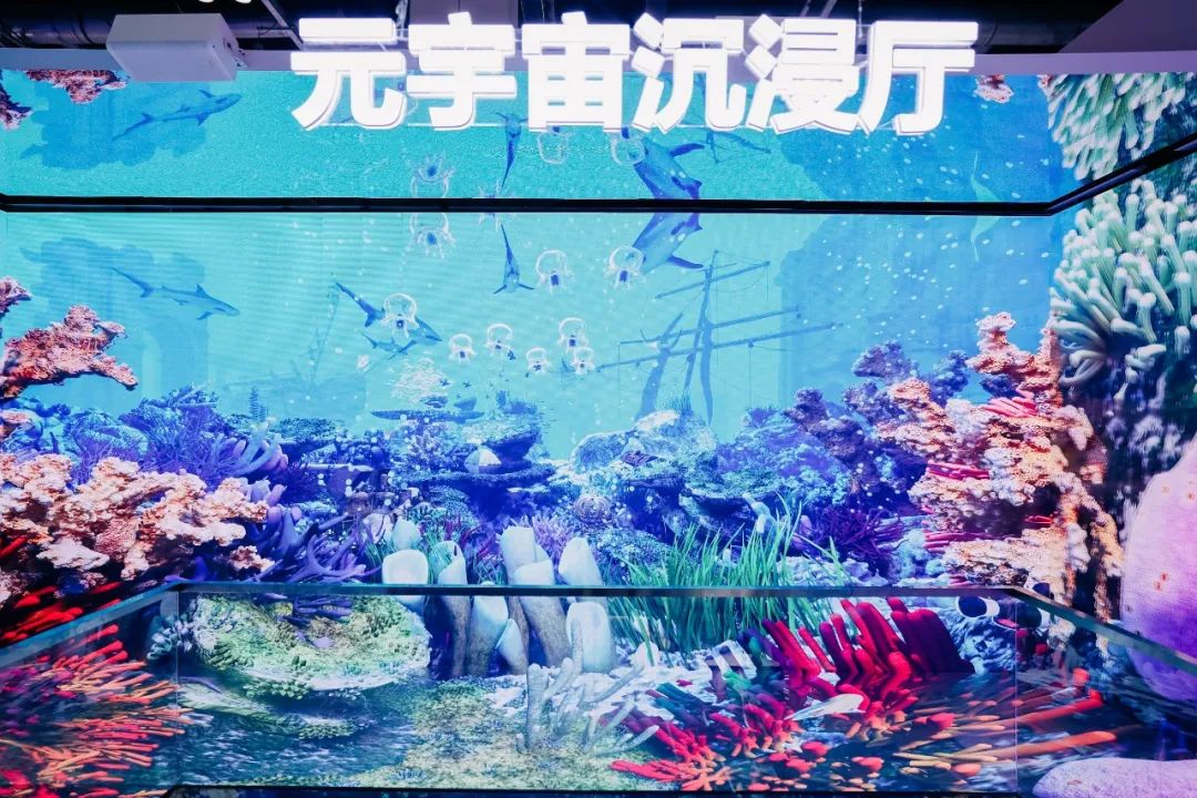 “AI+智能显示”引领未来 xkty.com星空新品InfoComm展大放异彩